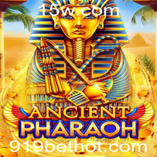 919 bet Casino App